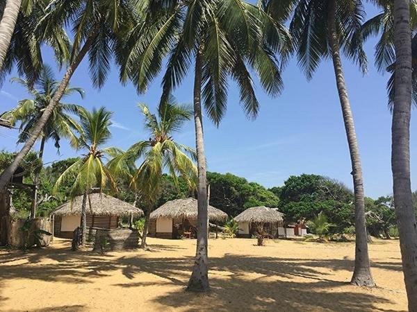 Upali Beach Surf Resort & Cafe Аругам-Бей Екстер'єр фото
