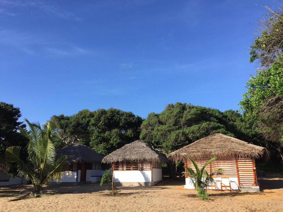 Upali Beach Surf Resort & Cafe Аругам-Бей Екстер'єр фото